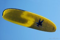interaviator_2010_04_20_036.jpg